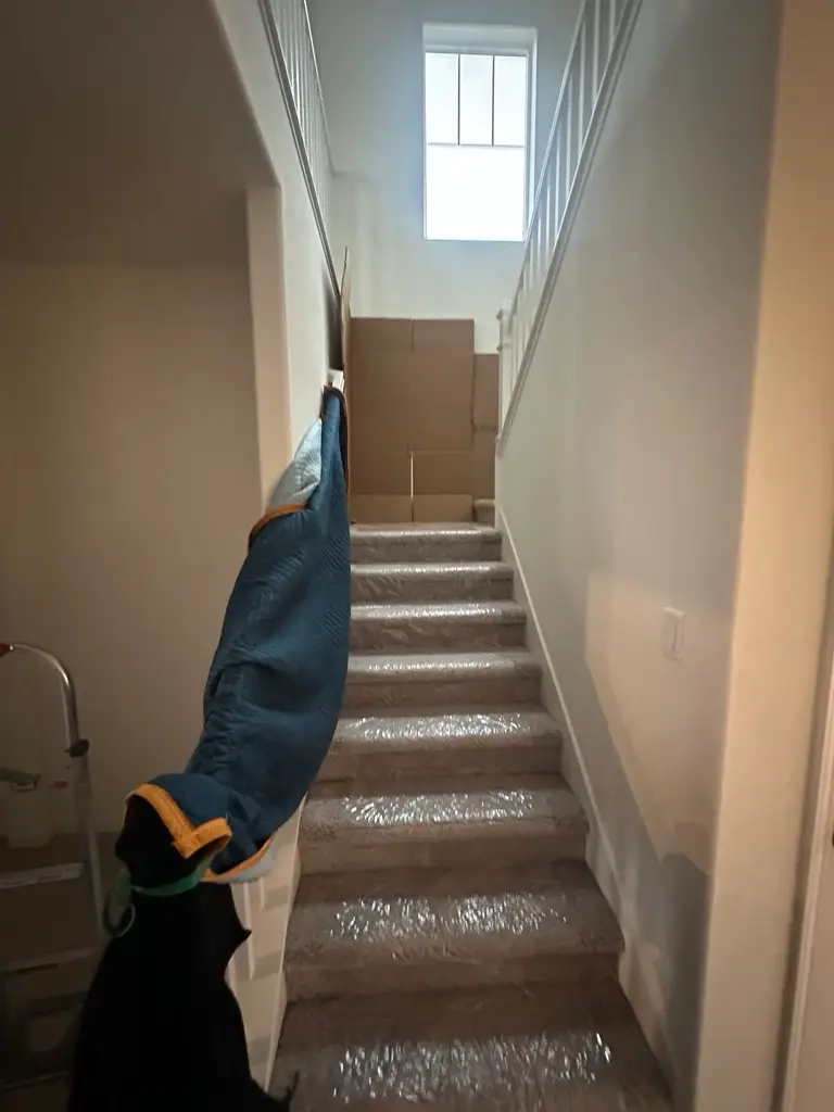 Moving with Grace Now - Stairs and rail cover 020325 protect walls and floors