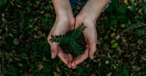 Moving with Grace Now - eco-friendly-move