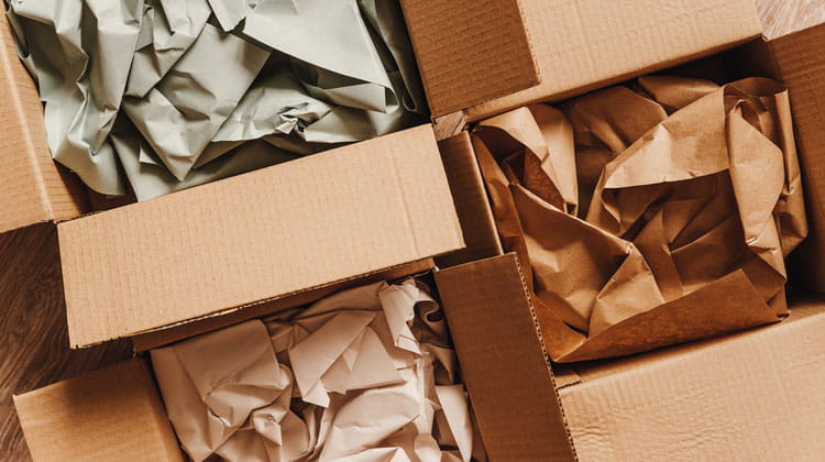 Sustainable Packing Alternatives Placeholder