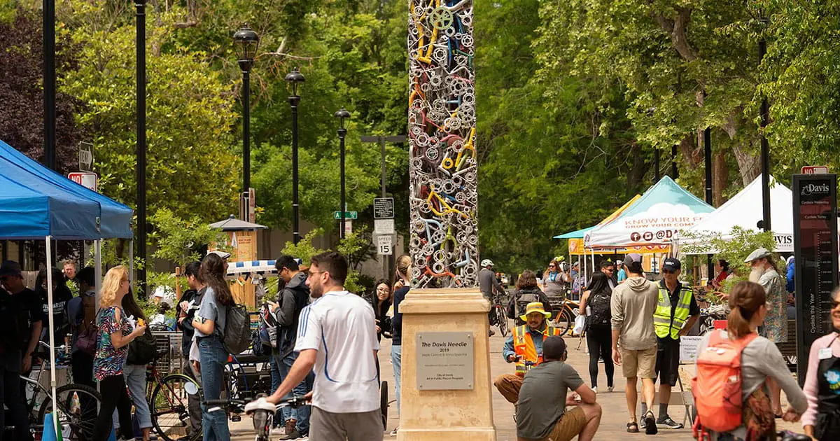 Bicyclists and daily living in Davis, CA